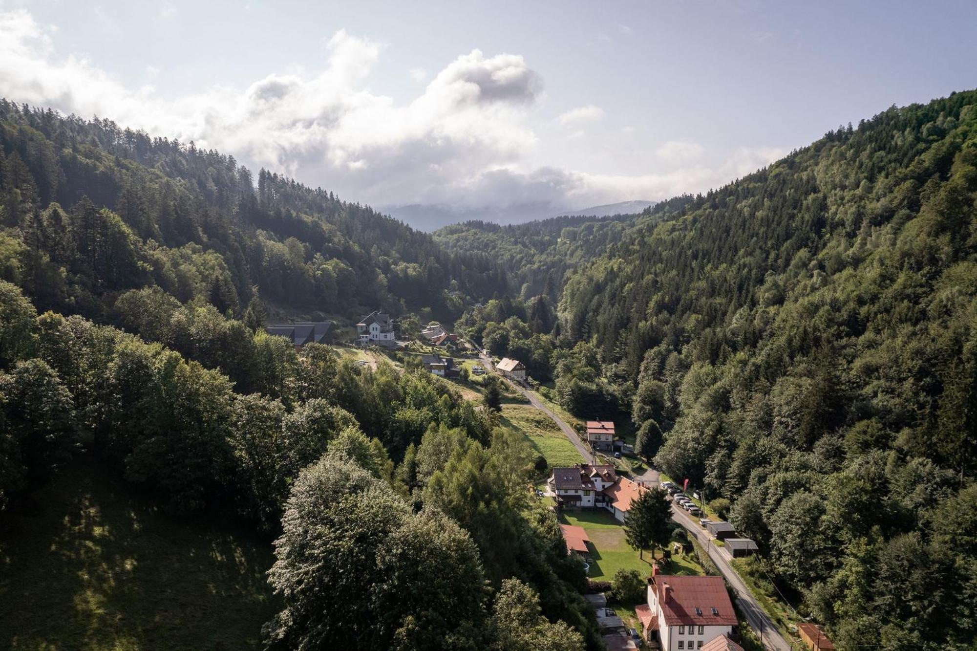 Zawidoki * Miedzygorze